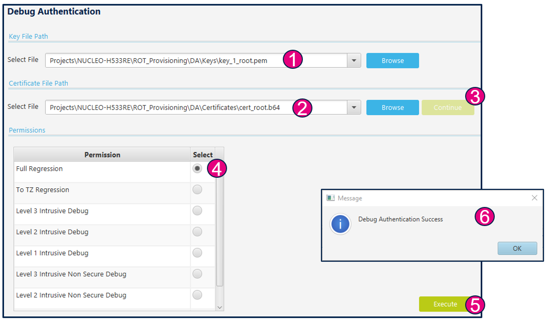 SECURITY cubeprogrammer regression certif H533.png